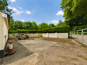 Yard- click for photo gallery